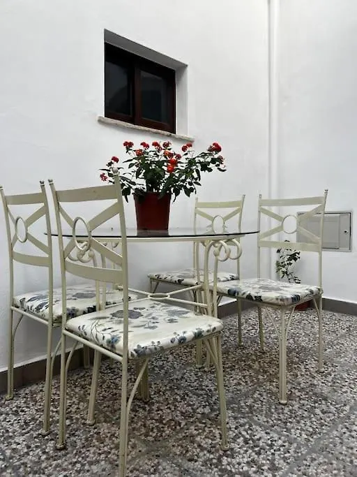 Apartment Apartamentos Casa Vicario Jerez de la Frontera Spain